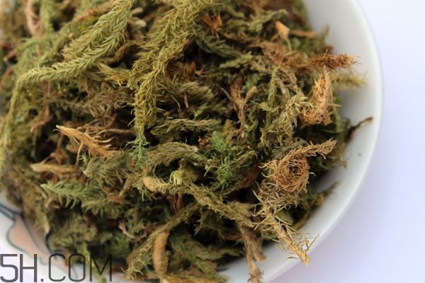 什么是伸筋草？伸筋草的功效與作用是什么？