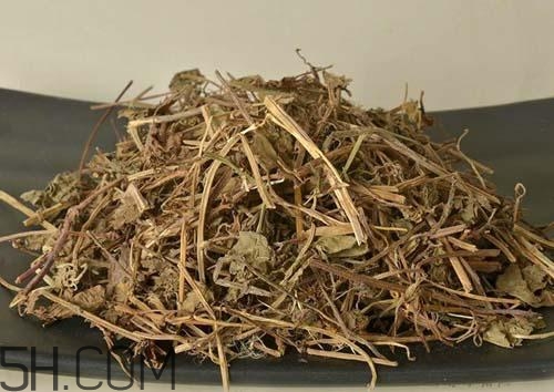 什么是透骨草？透骨草的功效與作用是什么？