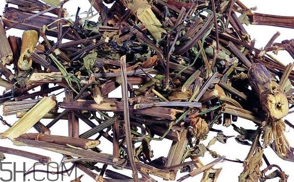 艾葉草洗澡有什么好處？怎么挑選艾葉草？