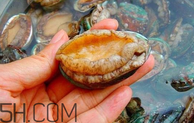 鮑魚(yú)怎么做好吃？吃鮑魚(yú)注意事項(xiàng)