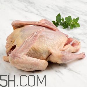冬天吃什么肉好？冬天吃什么肉比較滋補身體？