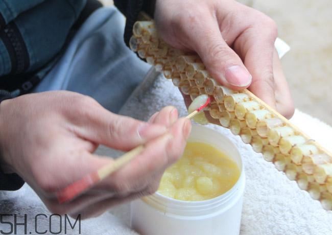 蜂王漿的營養(yǎng)成分有哪些？怎么辨別真假蜂王漿？