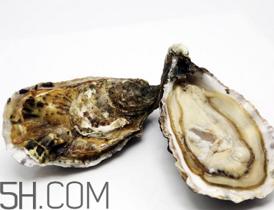 量吃生蠔有哪些好處？生蠔糖尿病人能吃嗎？