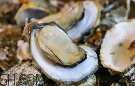 生蠔生吃好嗎？生蠔怎么吃最有營養(yǎng)？
