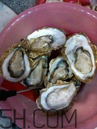 吃生蠔應(yīng)該注意哪些事項？生蠔與牡蠣的區(qū)別