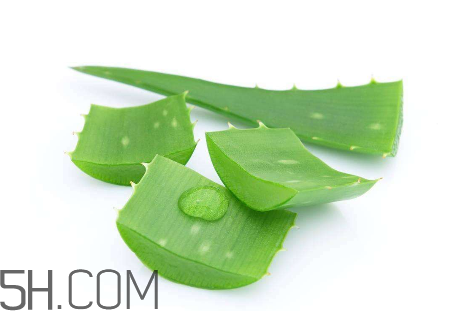 雅麗潔蘆薈膠怎么用？雅麗潔蘆薈膠使用方法