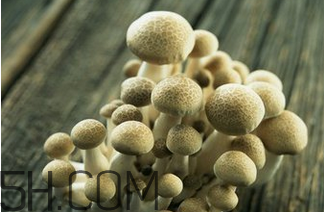 如何判斷生蠔烤熟沒(méi)有？生蠔可以和蘑菇一起吃嗎？