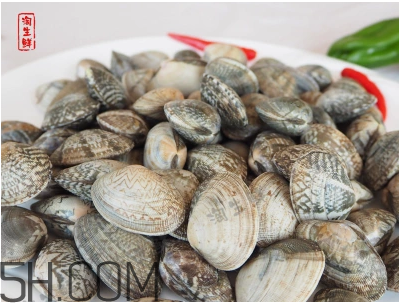 花甲可以冷凍嗎？養(yǎng)花甲鹽和水的比例是多少？