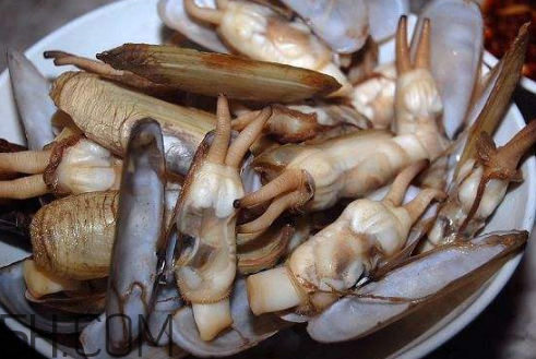 蟶子里面的黑色能吃嗎？蟶子為什么一撒鹽就出來？