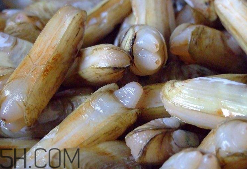 蟶子里面的黑色能吃嗎？蟶子為什么一撒鹽就出來？