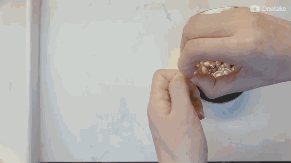 雅頓金膠怎么打開？雅頓金膠膠囊怎么扭開？