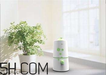 加濕器的使用誤區(qū)有哪些？加濕器的功能介紹