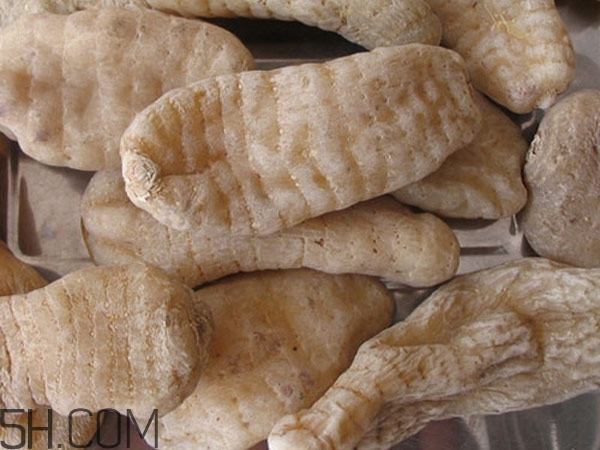 天麻能泡水喝嗎？吃天麻有什么作用？