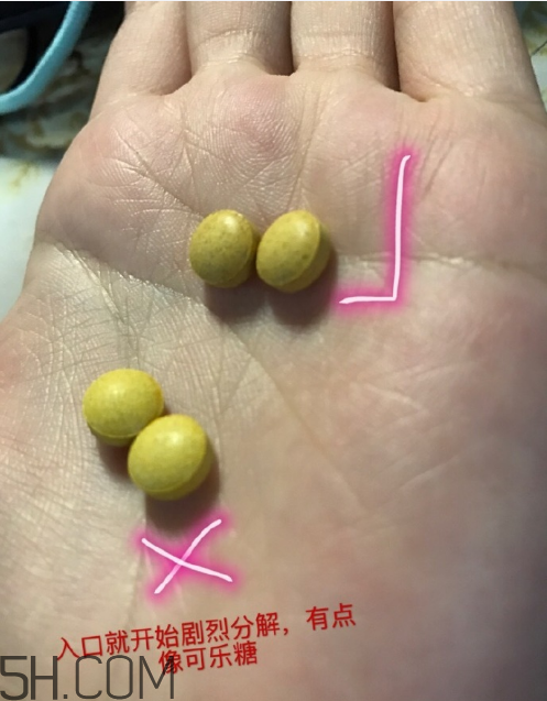 新谷酵素多少錢一盒？新谷酵素真假辨認