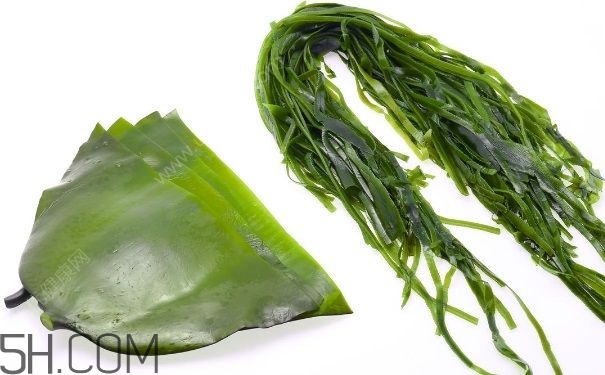 海帶的做法有哪些？怎么挑選優(yōu)質(zhì)海帶？
