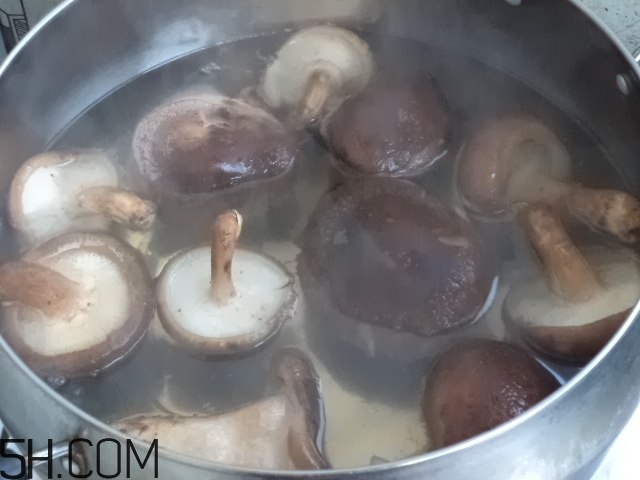 香菇和白蘿卜可以一起吃嗎？香菇和白蘿卜一起吃有什么好處？