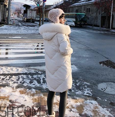 鵝絨羽絨服大概多少錢？白鵝絨羽絨服多少錢一件？