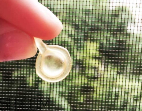 雅頓眼膠和面膠區(qū)別 雅頓眼膠和面膠可以一起用嗎？