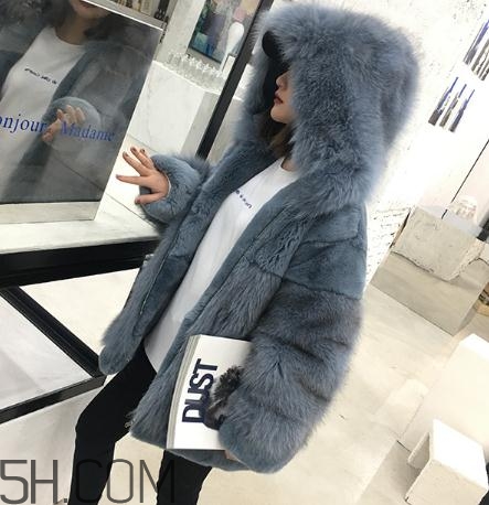 獺兔毛皮草一千元貴嗎？獺兔毛皮草2018年價(jià)格