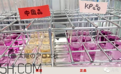 太陽社玻尿酸孕婦能用嗎？怎樣辯別真假太陽社玻尿酸？