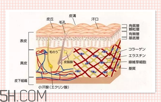 水光針可以祛斑嗎？涂抹式水光針的效果好嗎？