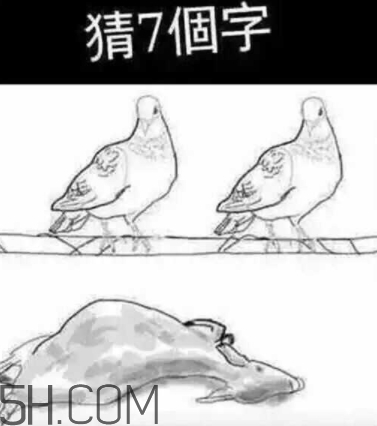 52422696代表什么意思？女生發(fā)52422696暗示什么
