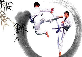 十五歲學(xué)跆拳道遲嗎？十五歲能學(xué)跆拳道嗎？