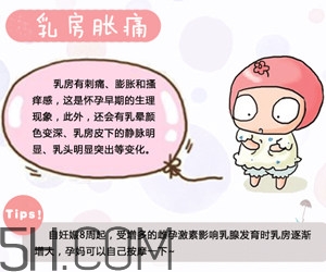 懷孕了應(yīng)該如何調(diào)理？懷孕了如何根據(jù)體質(zhì)調(diào)養(yǎng)？