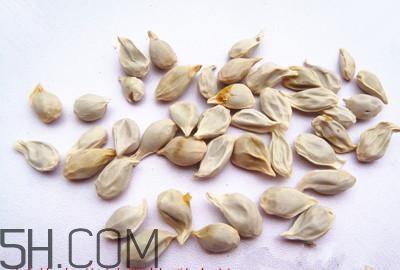 不小心吃了橘子籽怎么辦？橘子籽可以生吃嗎？
