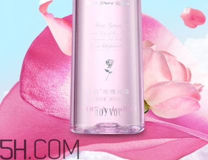 royvol萊茵是什么牌子？royvol萊茵是哪個國家的