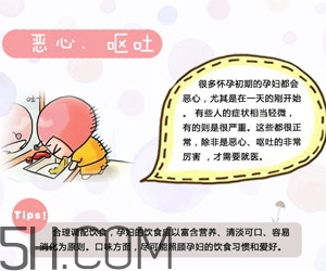 懷孕了應(yīng)該如何調(diào)理？懷孕了如何根據(jù)體質(zhì)調(diào)養(yǎng)？