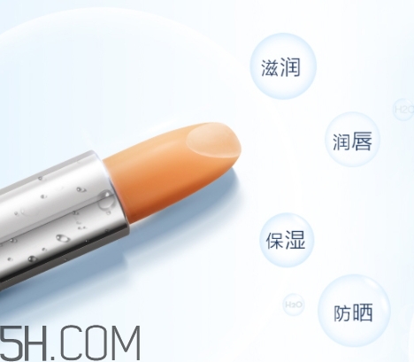 雅頓和dhc唇膏哪個好？伊麗莎白雅頓唇膏和dhc對比