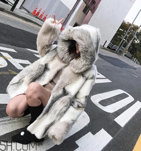 十字貂和水貂哪個(gè)好？十字貂和水貂哪個(gè)貴？