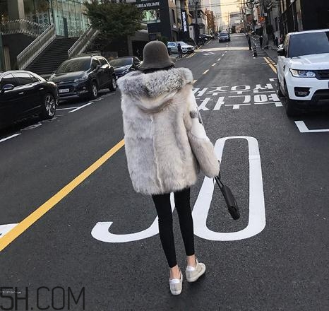 十字貂和水貂哪個(gè)好？十字貂和水貂哪個(gè)貴？