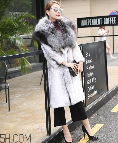 丹麥貂好還是美國貂好？丹麥貂和美國貂的區(qū)別