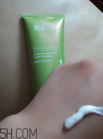 詩婷露雅堅果潔面乳有泡沫嗎？適合油皮嗎？