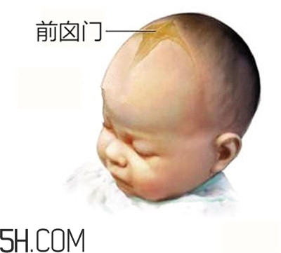 寶寶囟門是怎樣的一個部位？寶寶的囟門要怎樣保護比較好？