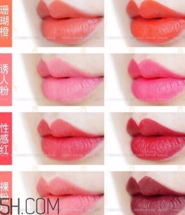 唇膏盤怎么用？口紅盤怎么用法