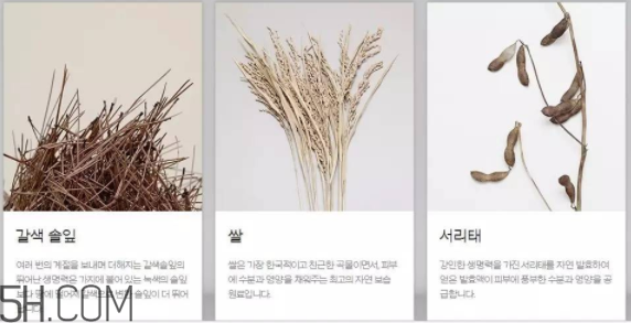 韓律護(hù)膚品怎么樣？韓律全系列介紹