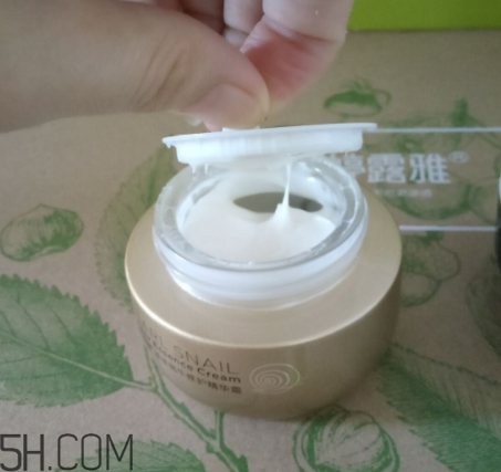 詩婷露雅蝸牛面霜適合秋冬嗎？適合油皮嗎？