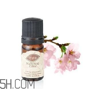 丁香精油怎么用？丁香精油的功效與作用？