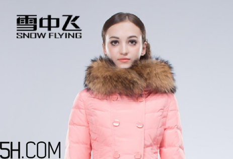 最貴的羽絨服什么價(jià)格？羽絨服什么牌子的好？