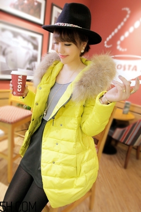 最貴的羽絨服什么價(jià)格？羽絨服什么牌子的好？