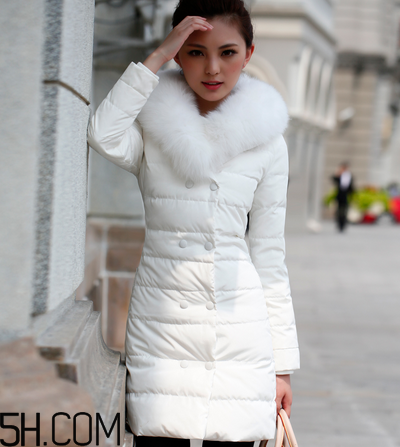 最貴的羽絨服什么價(jià)格？羽絨服什么牌子的好？