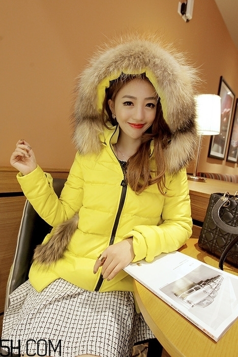最貴的羽絨服什么價(jià)格？羽絨服什么牌子的好？