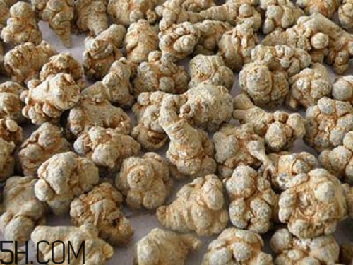 三七粉苦的好還是不苦的好？三七粉越苦越好嗎？