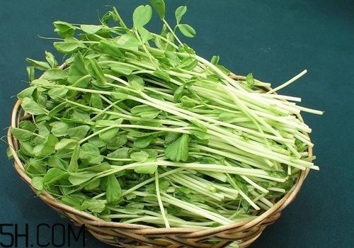 女性吃什么能瘦臉？能瘦臉的食物有哪些？