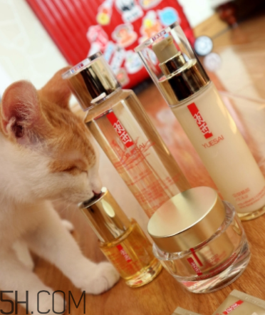 羽西蟲草新肌水有什么功效？適合什么膚質(zhì)？