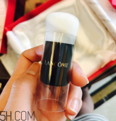 蘭蔻菁純氣墊粉底液110號色適合黃皮嗎？真人試色