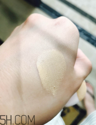蘭蔻菁純氣墊粉底液110號色適合黃皮嗎？真人試色